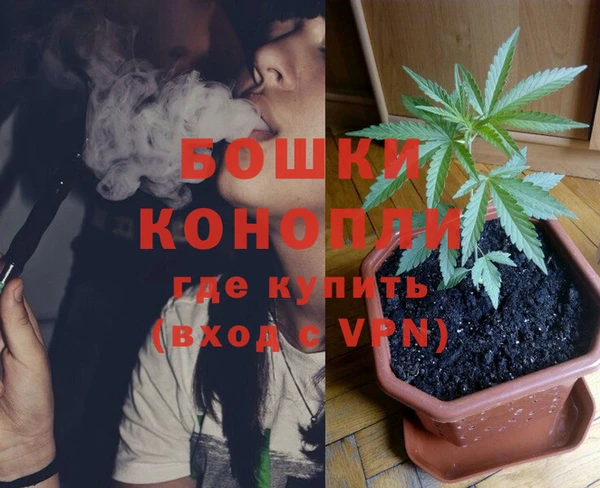 дурь Алексеевка