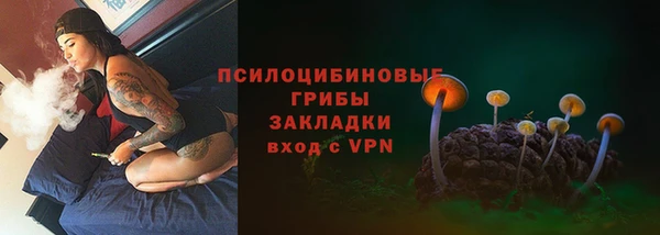 ГАЛЛЮЦИНОГЕННЫЕ ГРИБЫ Алексин