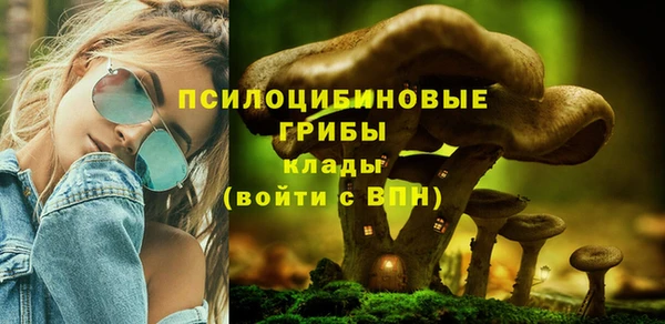 скорость Алзамай