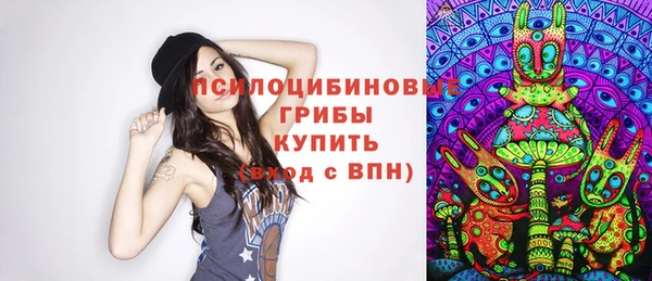 дурь Алексеевка