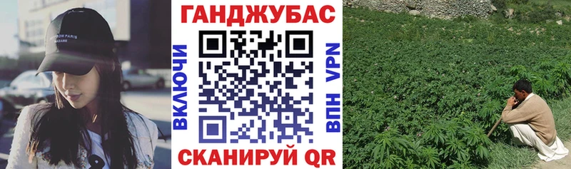 Канабис планчик  где продают наркотики  Пугачёв 